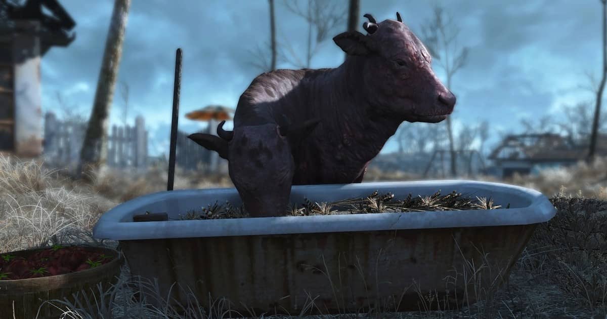 Игрок в Fallout 4 поделился абсурдной смертью – он споткнулся о труп брамина, пока толкал автомобиль в поселение